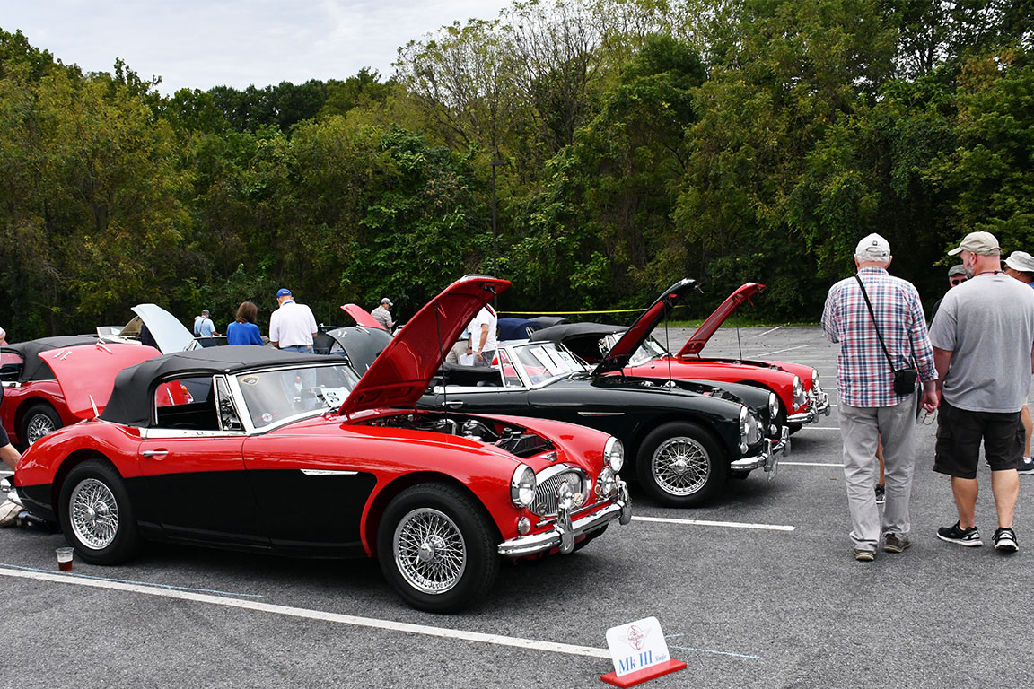 Some of the Mk III class at a recent Encounter show.