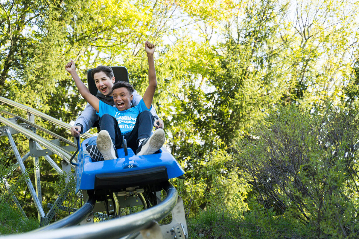 The Mountain Coaster: Another great way to see the mountain.