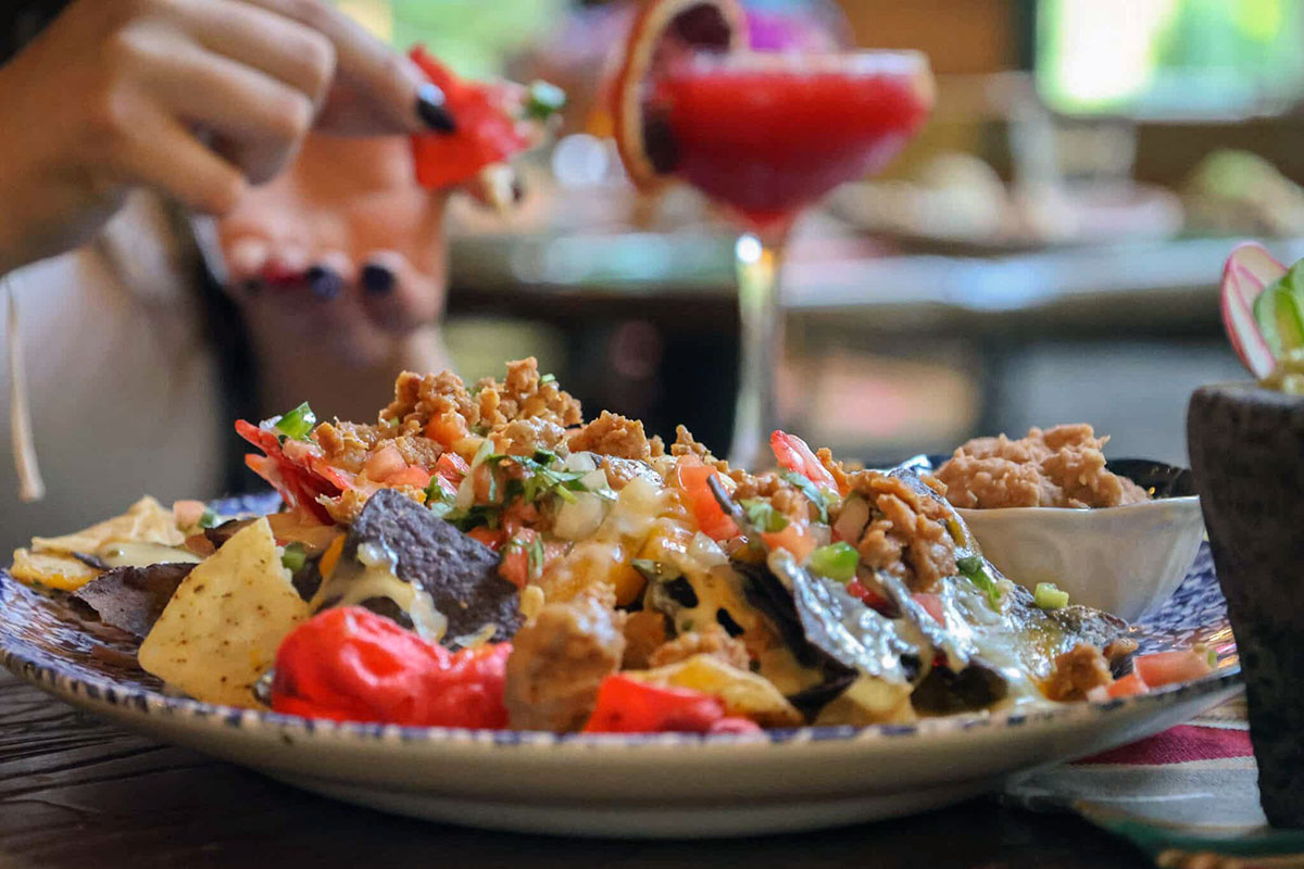 Alta Vida Nachos, with tri-colored corn chips, guacamole and all other options.